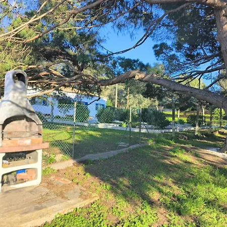 Ferienhaus Sitio Do Pinheiro - Quinta De
